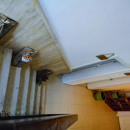 Kaktus Boutique * Side