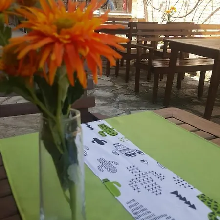 Hotel Kaktus Boutique