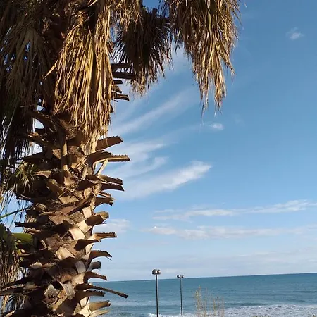 Kaktus Boutique Side