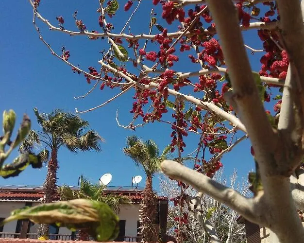 Hotel Kaktus Boutique *
