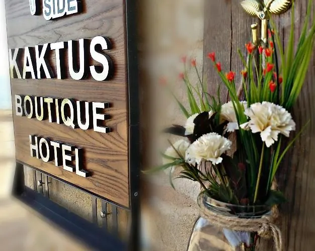 Kaktus Boutique * Sidé