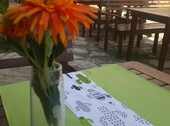 Hotel Kaktus Boutique