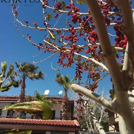 Hotel Kaktus Boutique *