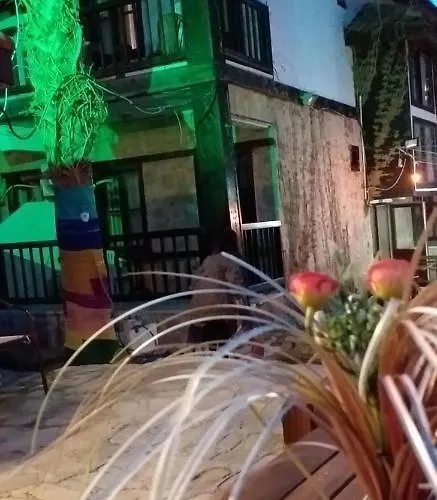 Kaktus Boutique *