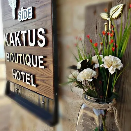 Kaktus Boutique * Side