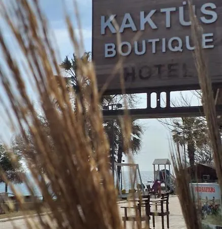 Kaktus Boutique *